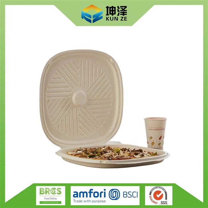 קופסת פיצה באגאסה