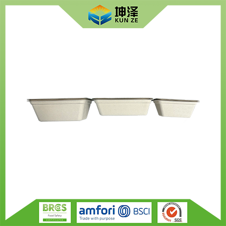 Rectangle Bagasse Food Containers