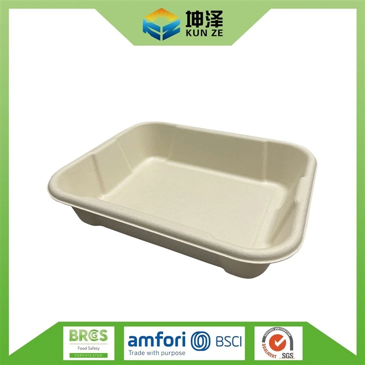 Vegetable Serving Tray With Lid