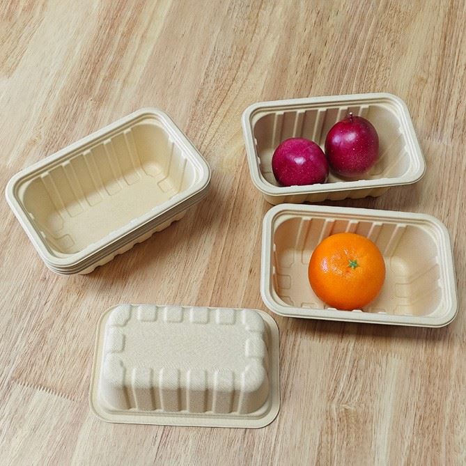 Bamboo Lunch Box best