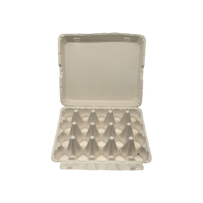 Blank Egg Cartons Bulk