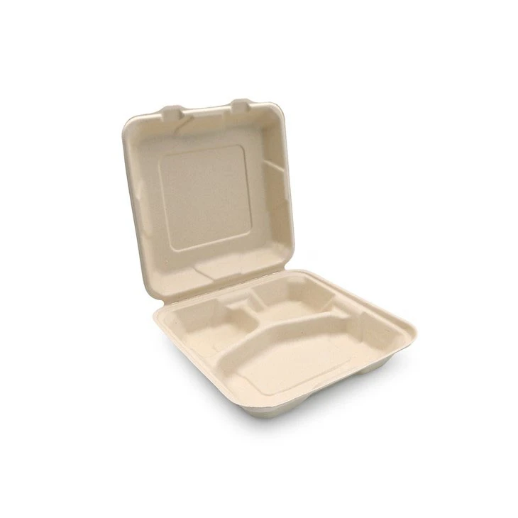 Sugarcane Pulp Box